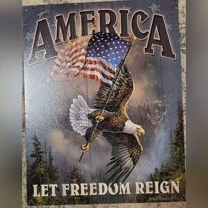 Patriotic Eagle Metal Wall Art (114)